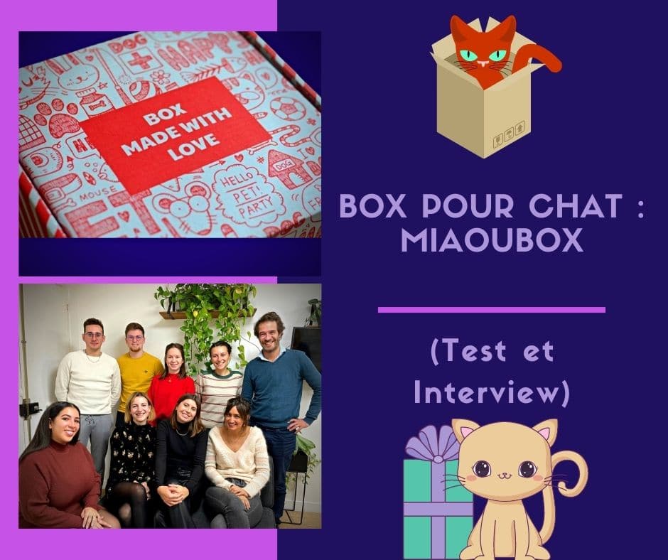 Box pour chat Miaoubox