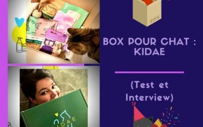 Box pour chat : la Kidae box ( Test et Interview )