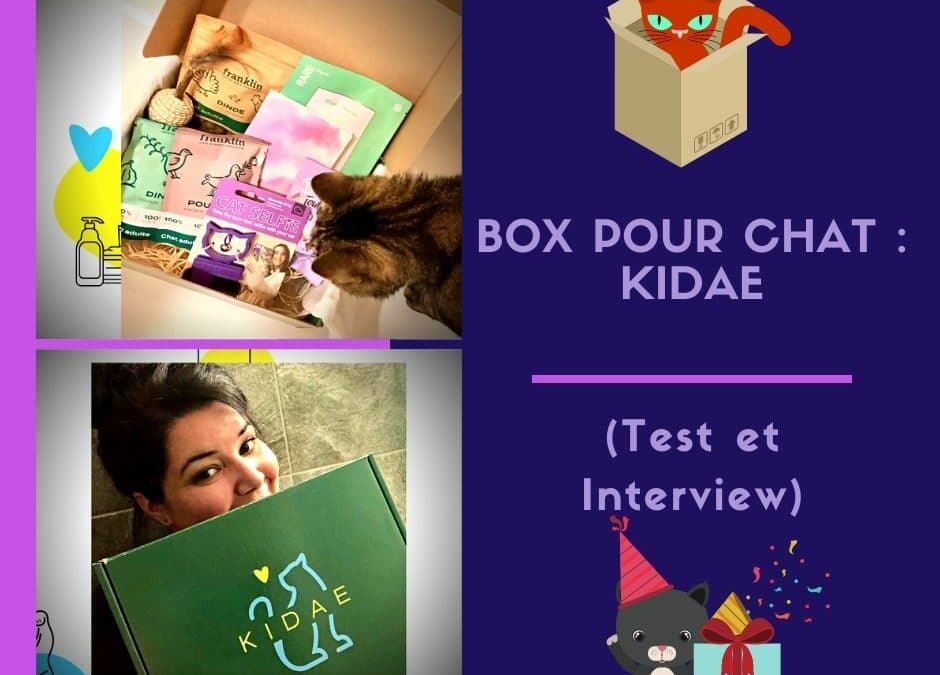 Box pour chat : la Kidae box ( Test et Interview )
