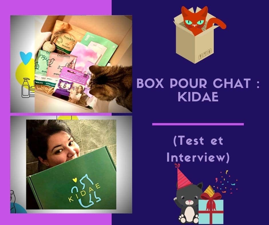 Box pour chat la Kidae box ( Test et Interview )