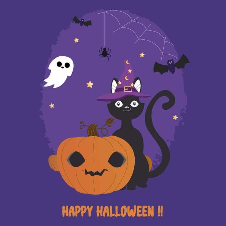 Carte Halloween - chat sorcier Carte Halloween - chat sorcier