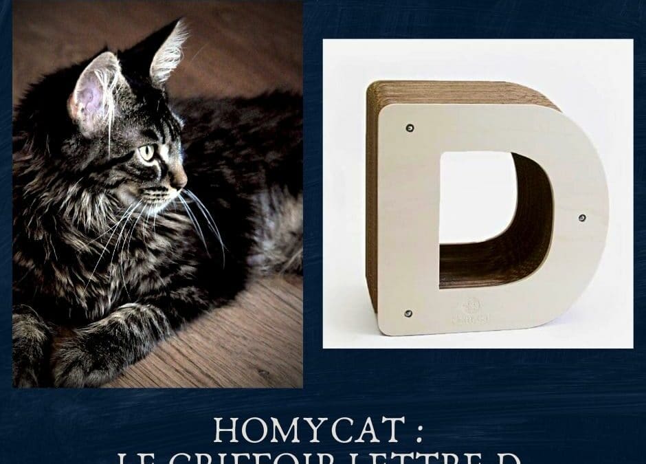 Homycat : le griffoir lettre D