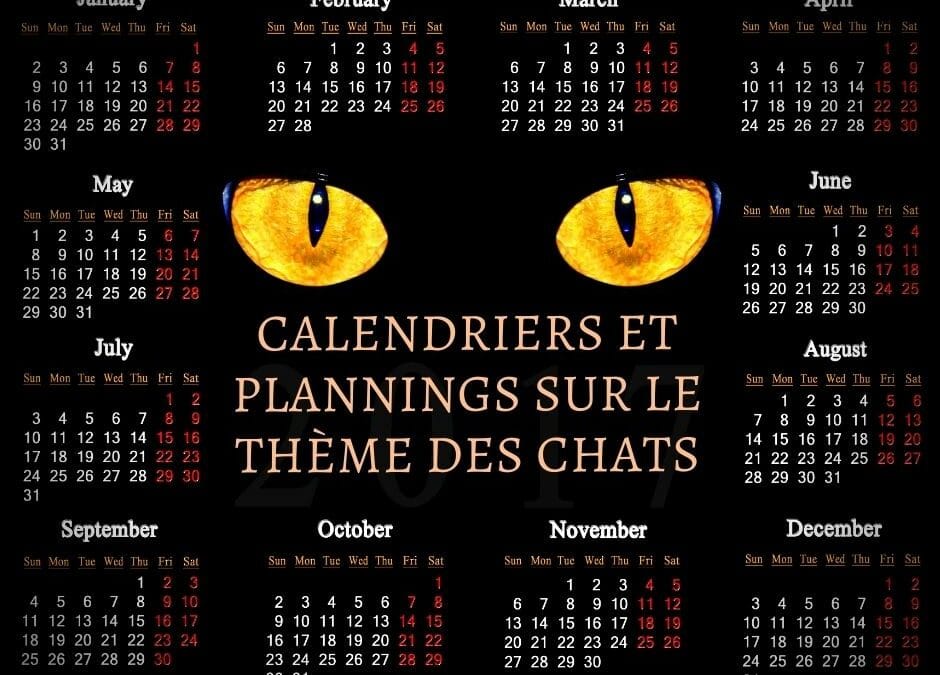 Calendriers et plannings sur le thème des chats