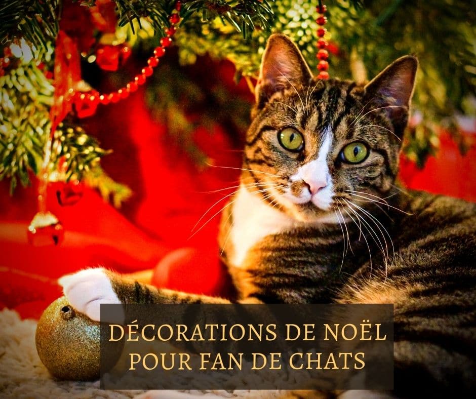 Décorations de Noël pour fan de chats