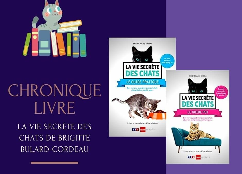 La vie secrète des chats de brigitte Bulard-Cordeau