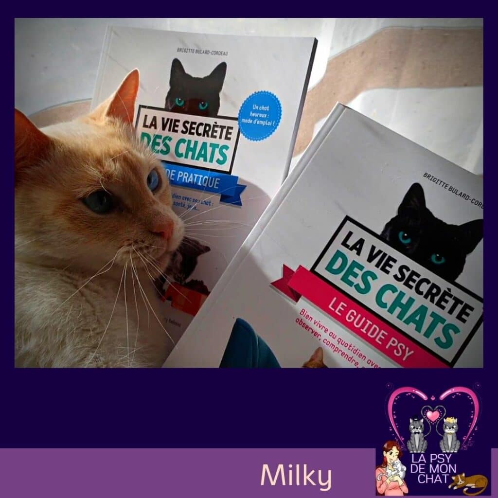 milky et les livres La vie secrète des chats de brigitte Bulard-Cordeau