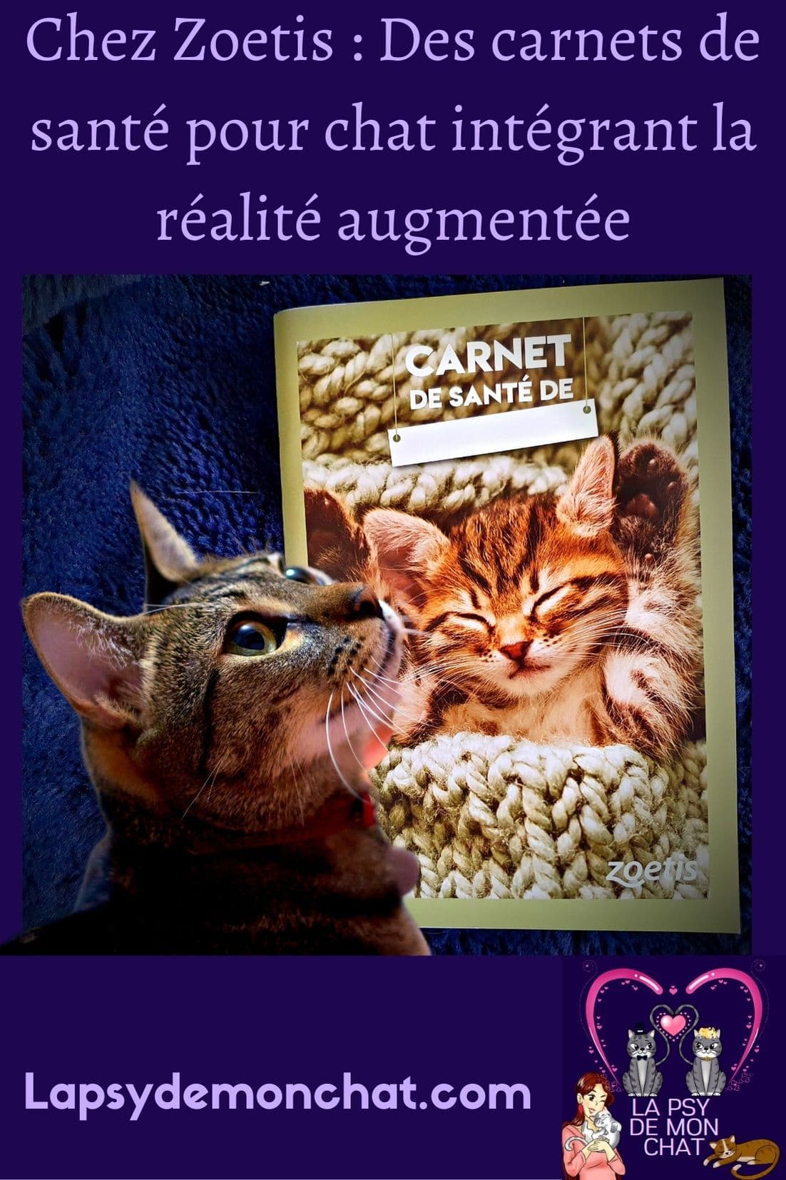 Chez Zoetis Des carnets de santé pour chat intégrant la réalité augmentée - pinterest