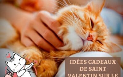 Idées cadeaux de saint valentin sur le thème du chat
