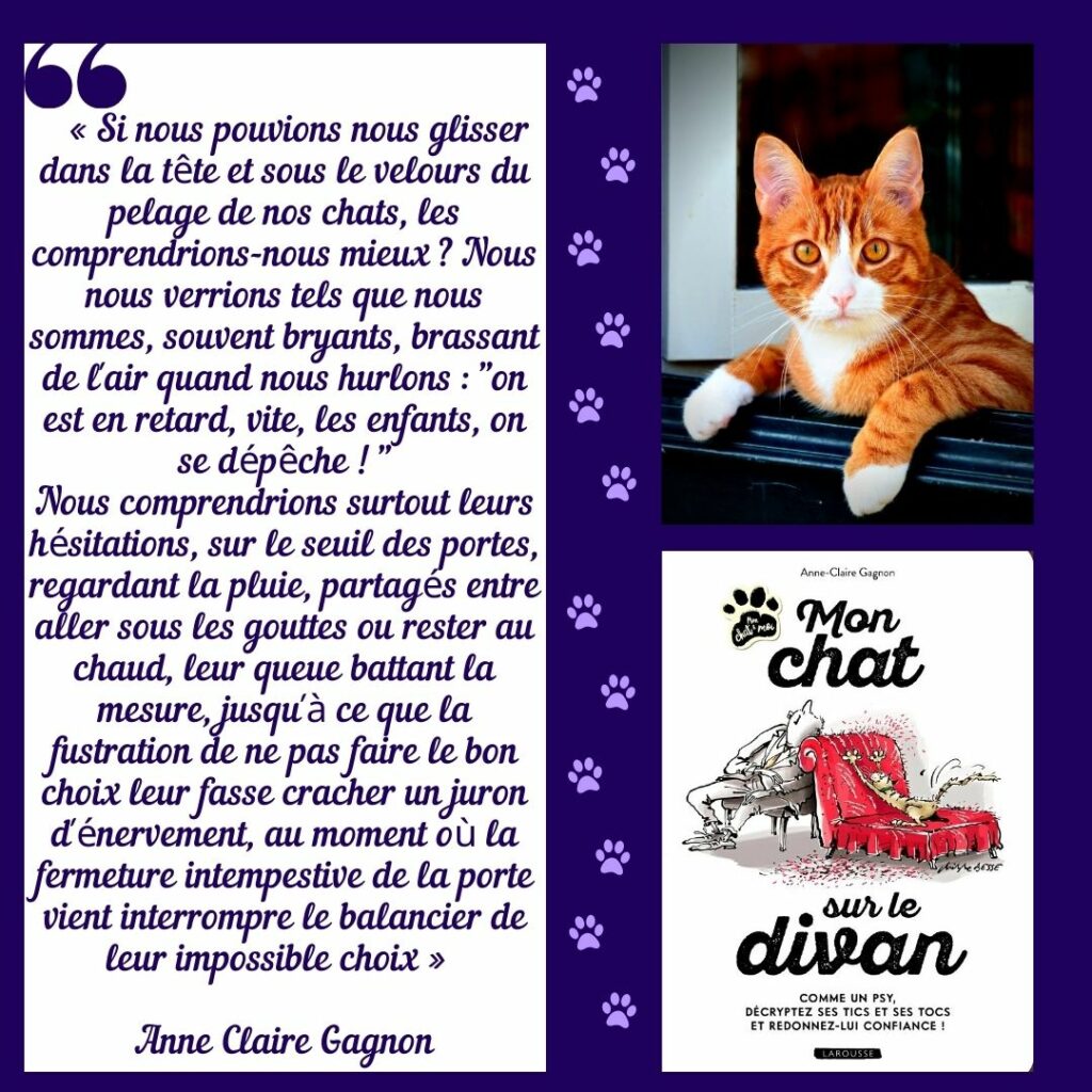 Citation Anne Claire Gagnon sur les chats
