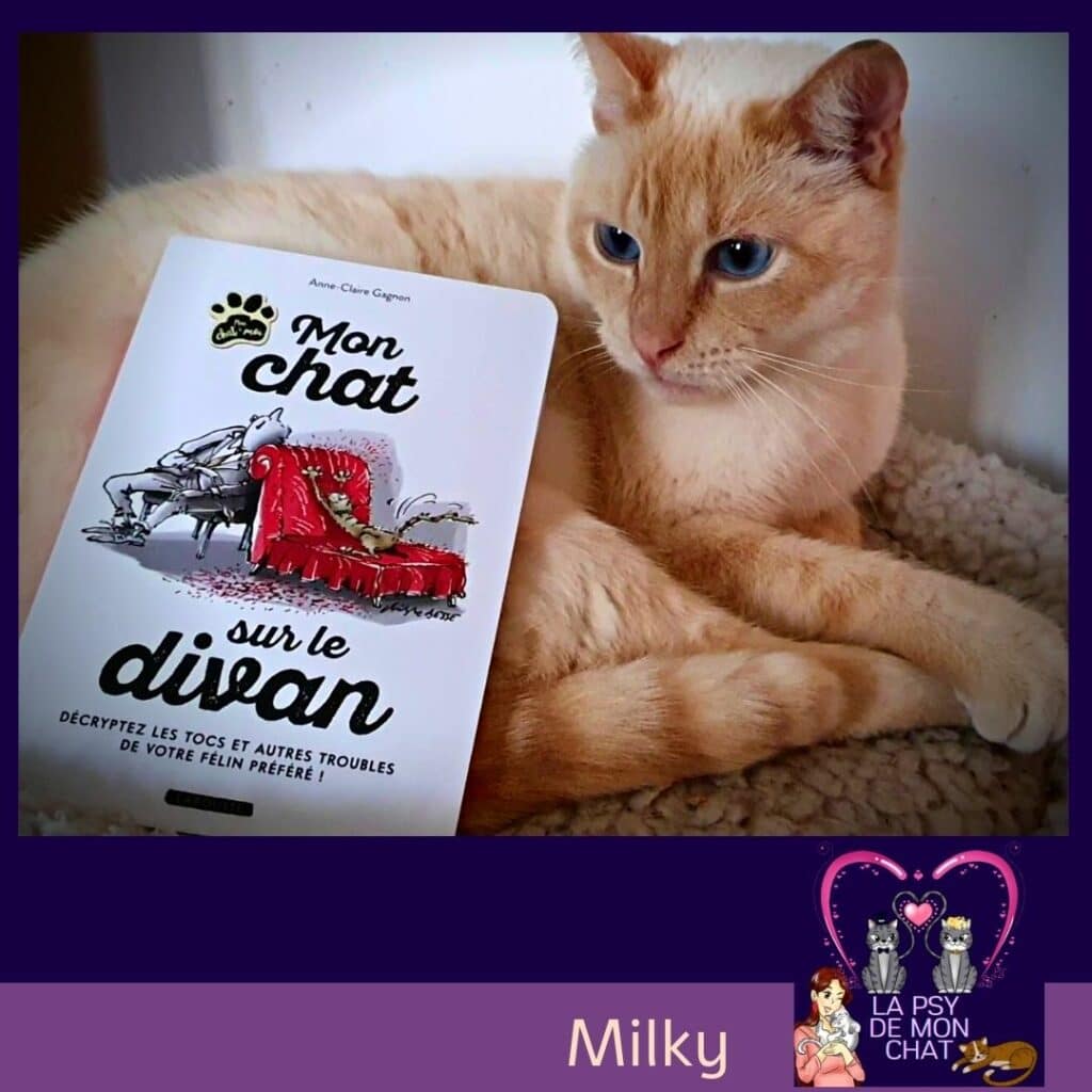  milky et le livre Mon chat sur le divan de Anne Claire Gagnon