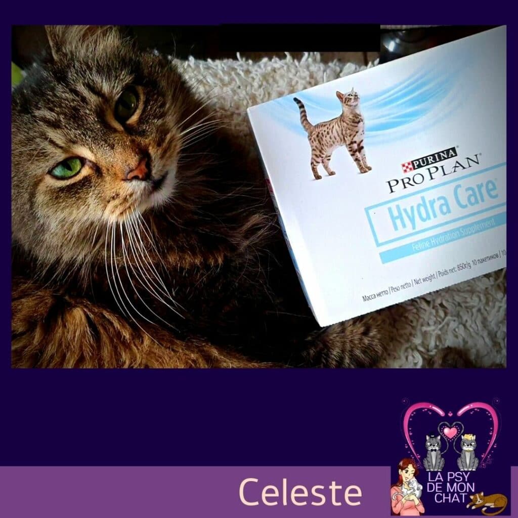 Celeste et Hydra Care pour chat