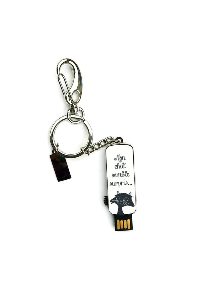 Clé USB Porte clé - Mon chat semble surpris que j’aie la clé de chez Lui !
