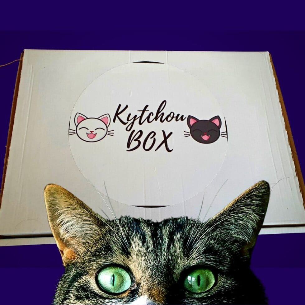 Box pour chat Kytchou box ( Test et Interview ) La Psy de mon chat — free download