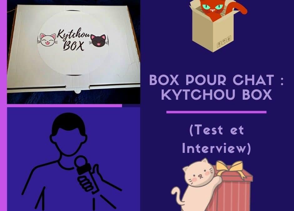 Box pour chat : Kytchou box ( Test et Interview )