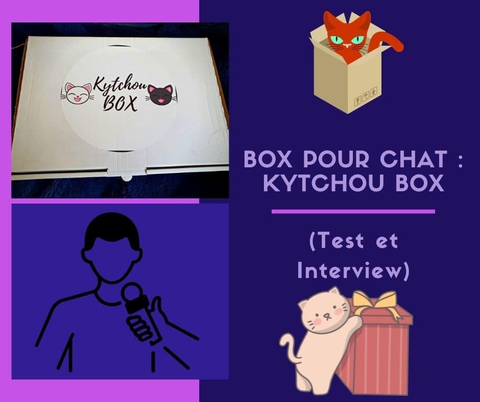 Box pour chat Kytchou box ( Test et Interview )