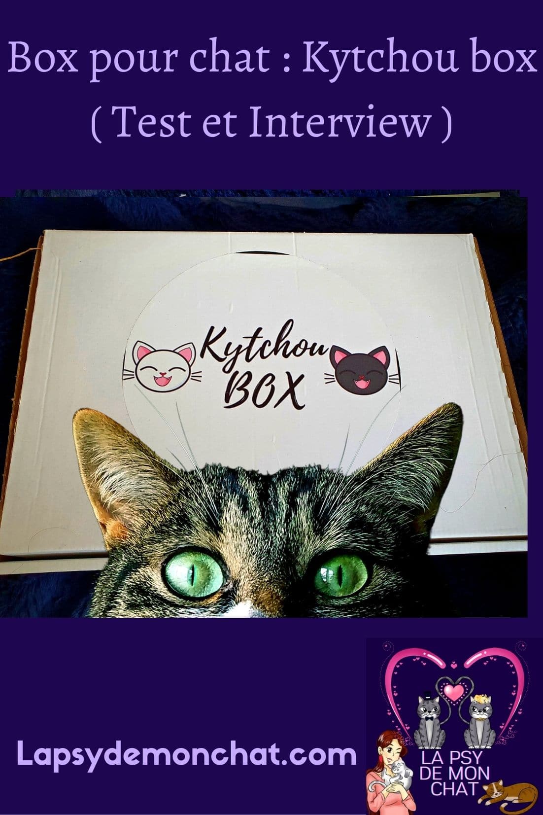 Box pour chat Kytchou box (Test et interview) - pinterest