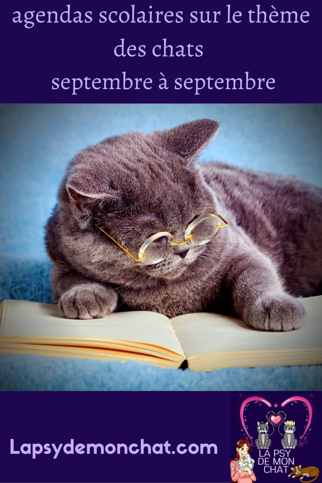 agendas scolaires sur le thème des chats - septembre à septembre - pinterest