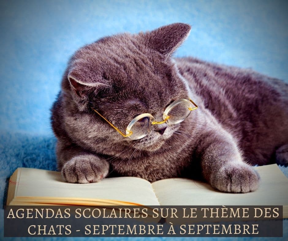 agendas scolaires sur le thème des chats - septembre à septembre