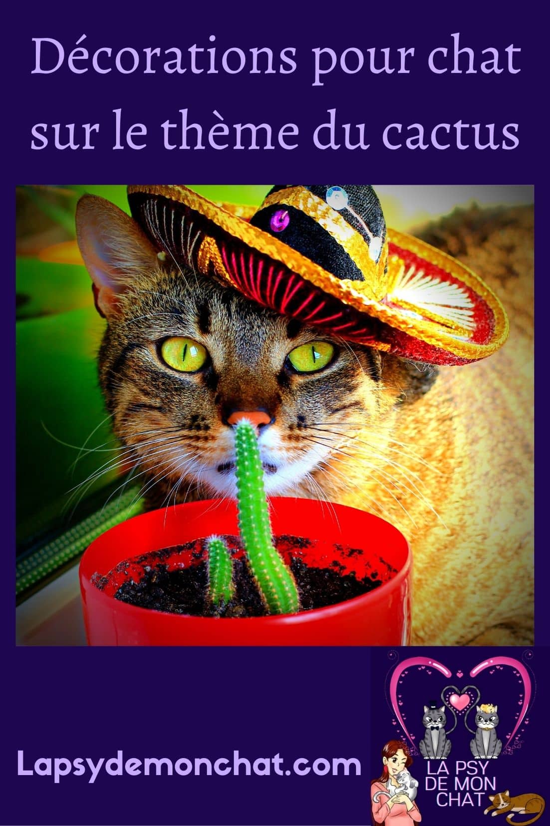 Décorations pour chat sur le thème du cactus - pinterest