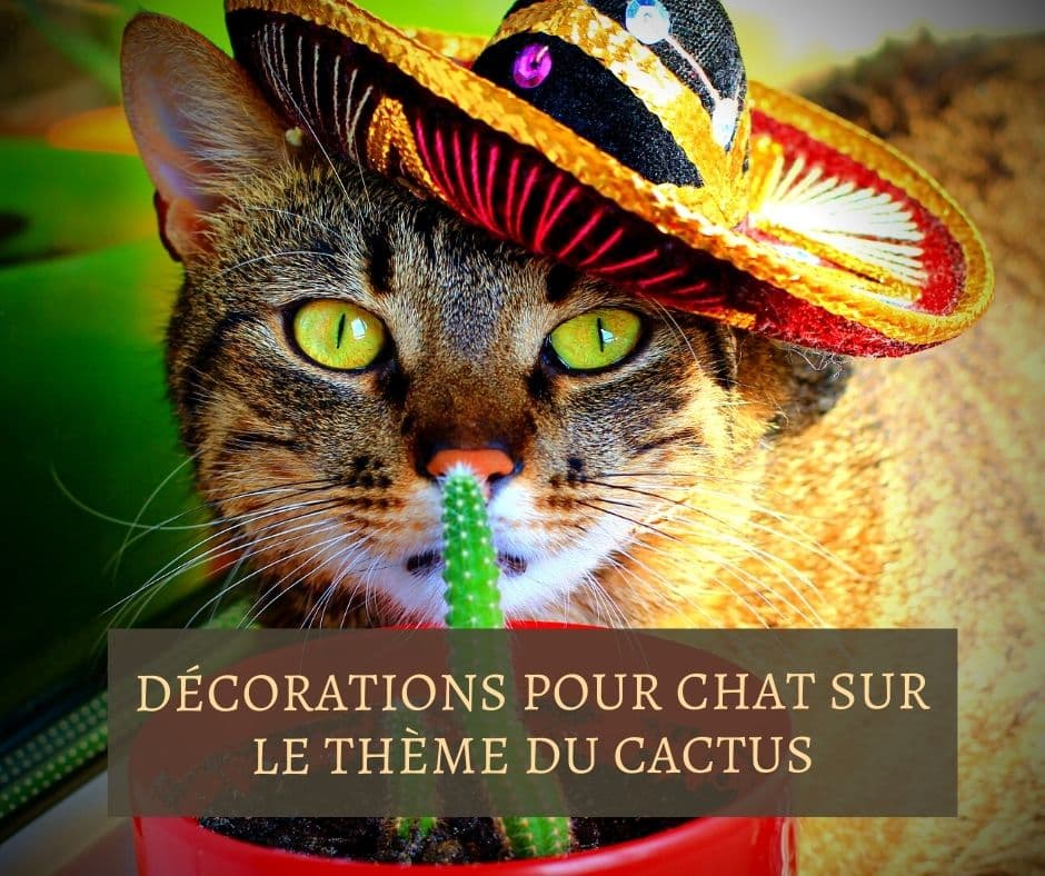 Décorations pour chat sur le thème du cactus