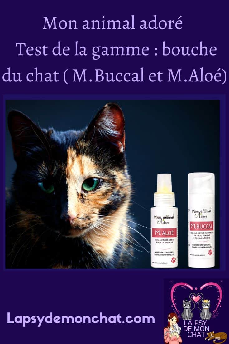 Mon animal adoré - Test de la gamme bouche du chat ( M.Buccal et M.Aloé) - pinterest