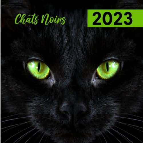 Calendrier Chats noirs 2023