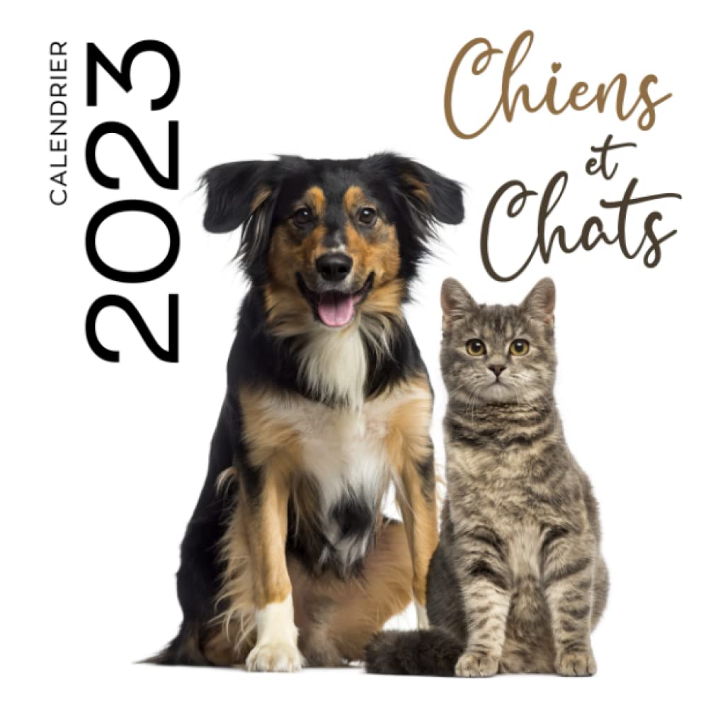 Chien et chat calendrier 2023