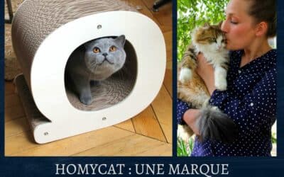Homycat : Une marque d accessoires design pour chat (présentation et interview)