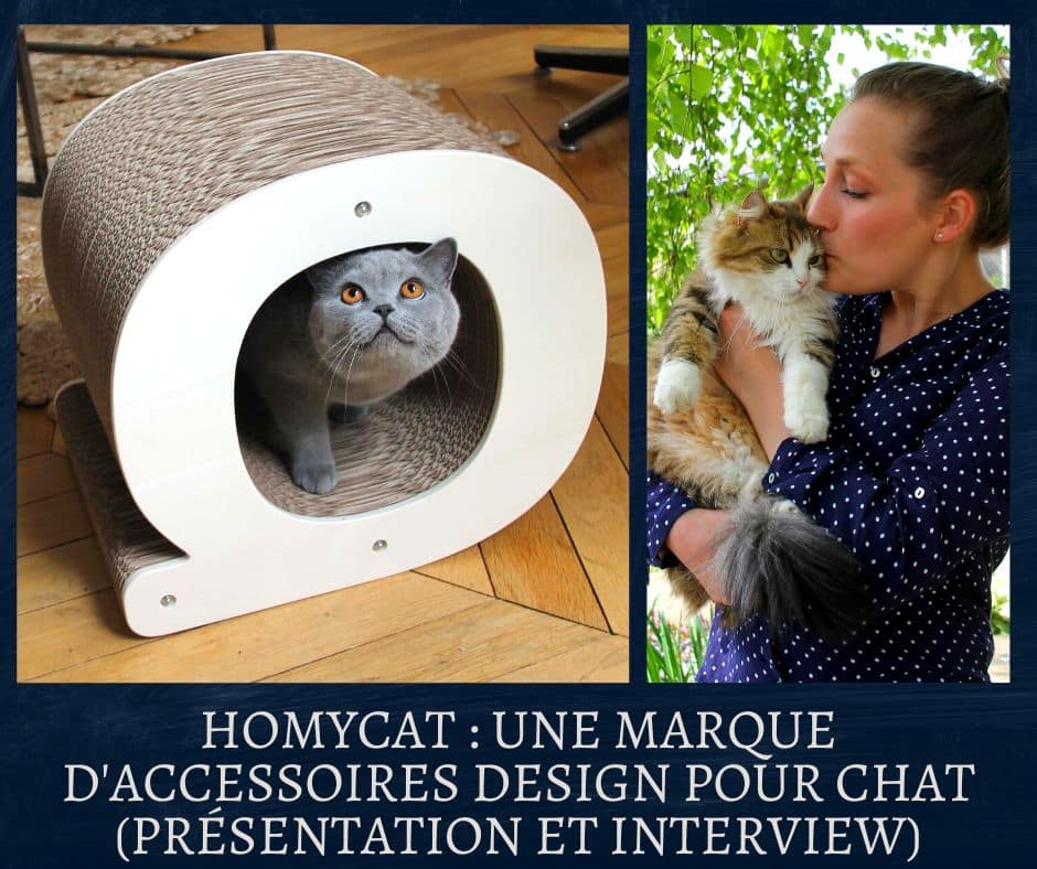 Homycat Une marque d'accessoires design pour chat (présentation et interview)