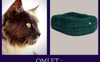 omlet – Panier pour chat Maya Donut vert paon