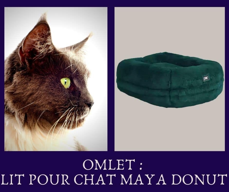omlet - Lit pour chat Maya Donut bleu paon