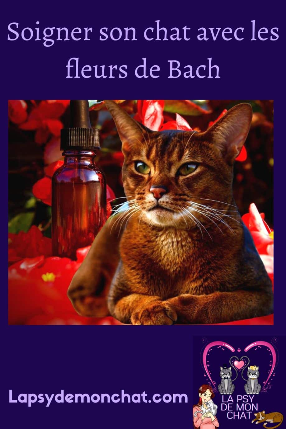 Soigner son chat avec les fleurs de Bach - pinterest