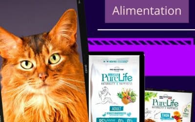 Pro-Nutrition : Croquettes et pâtées pour chat de la gamme Pure Life