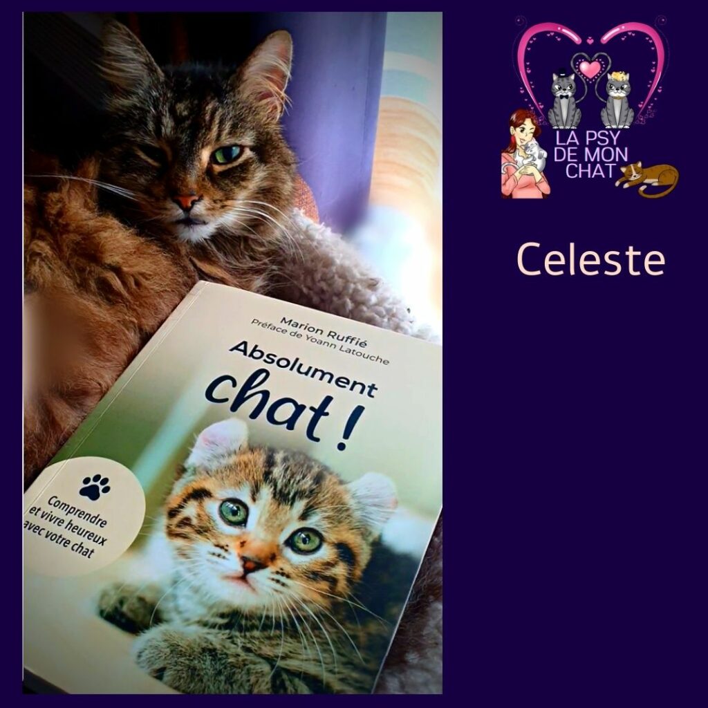 celeste et le livre Absolument chat  ! Comprendre et vivre heureux avec votre chat de Marion Ruffié