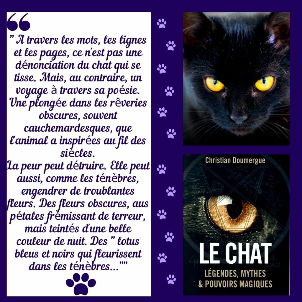 citation livre Le chat - Légendes, mythes & pouvoirs magiques de Christian Doumergue