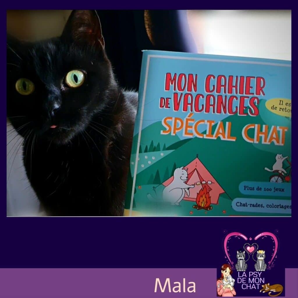 mala et Mon cahier de vacances spécial chat