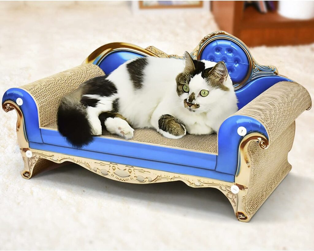 F Fityle lit canapé Griffoir pour Chat bleu