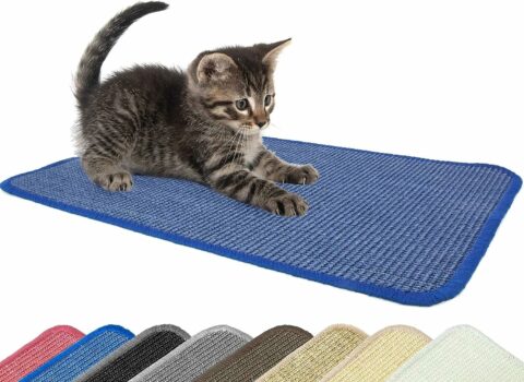 Tapis Griffoir Pour Chat - 60 X 40 Cm - Tapis Griffoir En Sisal Avec