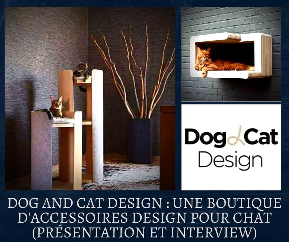 Dog and Cat Design une boutique d’accessoires design pour chat (présentation et interview)