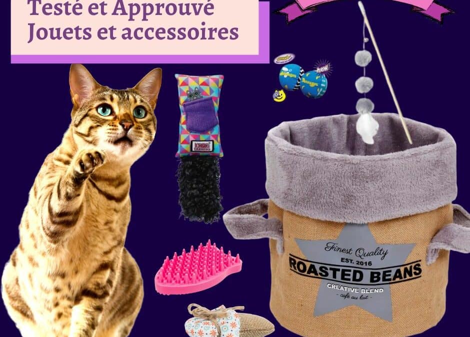 Les amis de Celine : Jouets et accessoires pour chat ( test et avis )
