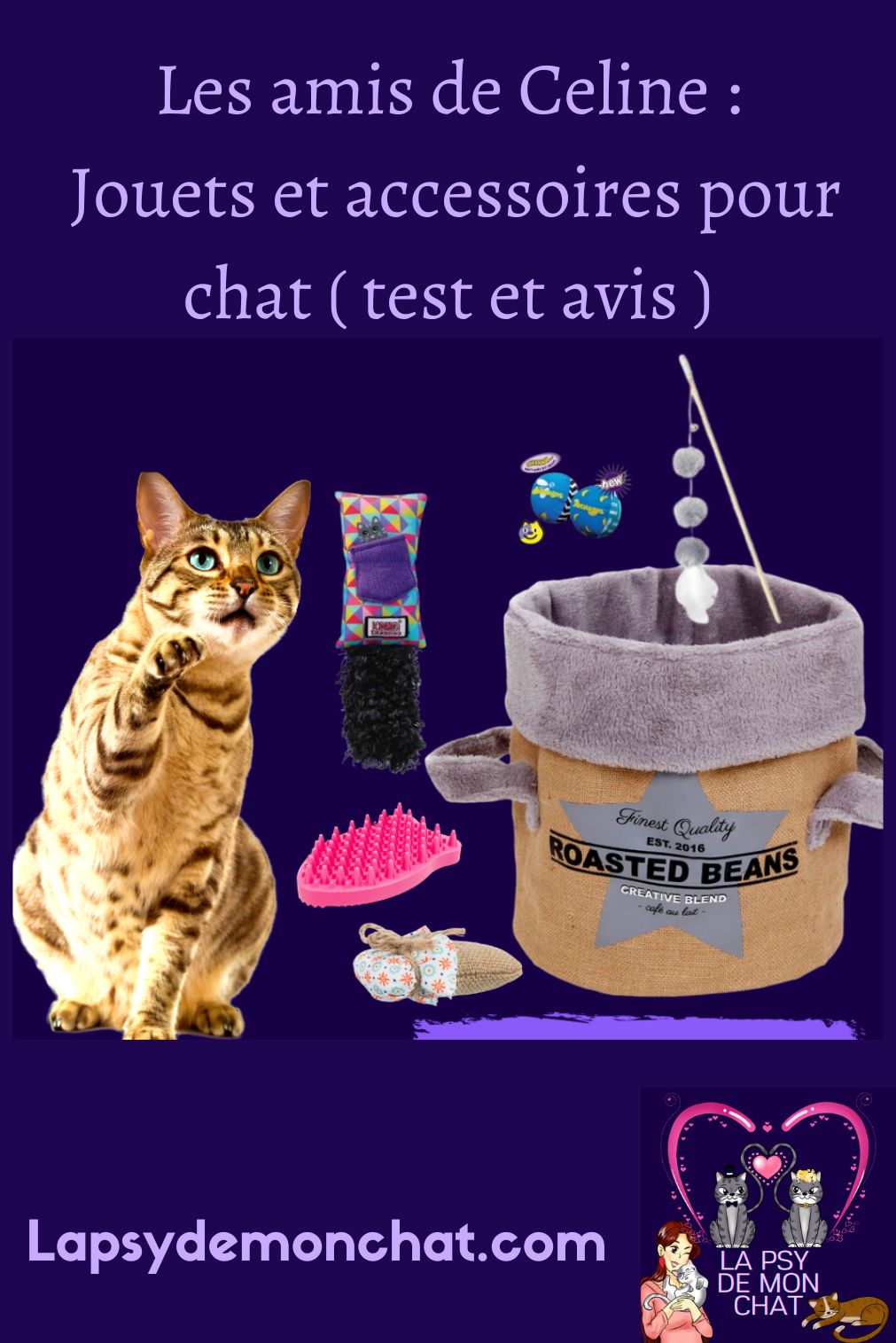 Les amis de Celine Jouets et accessoires pour chat ( test et avis ) - pinterest