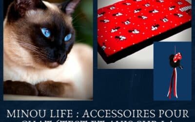 Minou Life : Accessoires pour chat avec des motifs de super héros (Test et avis sur la collection Minnie )