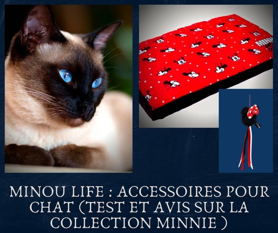 Minou Life  Accessoires pour chat (Test et avis sur la collection Minnie )