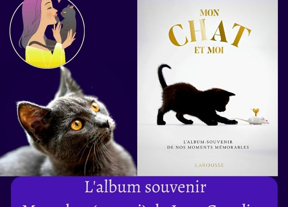 Mon chat (et moi) de Jean Cuvelier : L’album souvenir