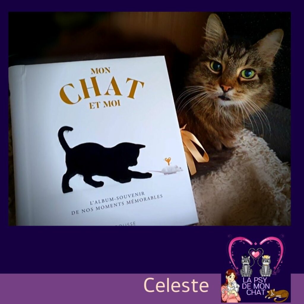 celeste et l'album souvenir Mon chat (et moi) de Jean Cuvelier