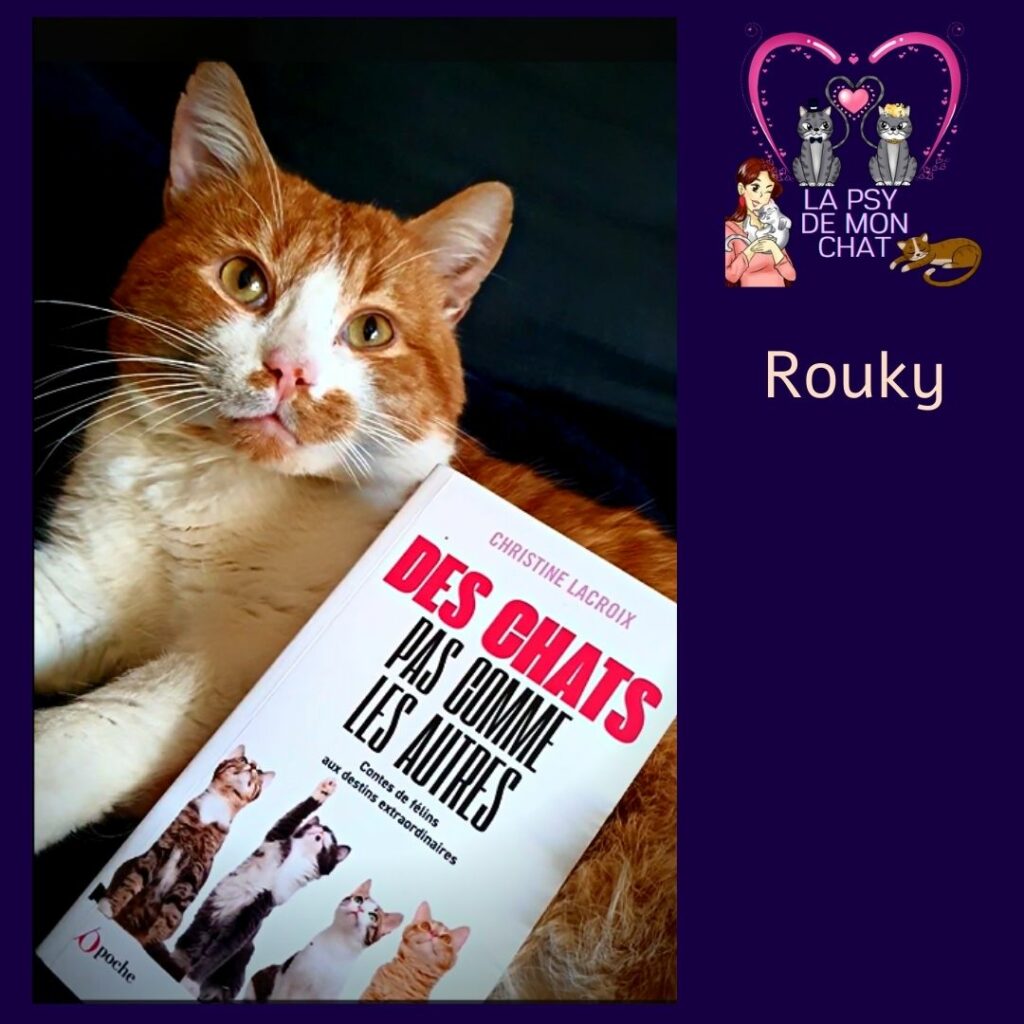 Rouky et le livre Des chats pas comme les autres de Christine Lacroix