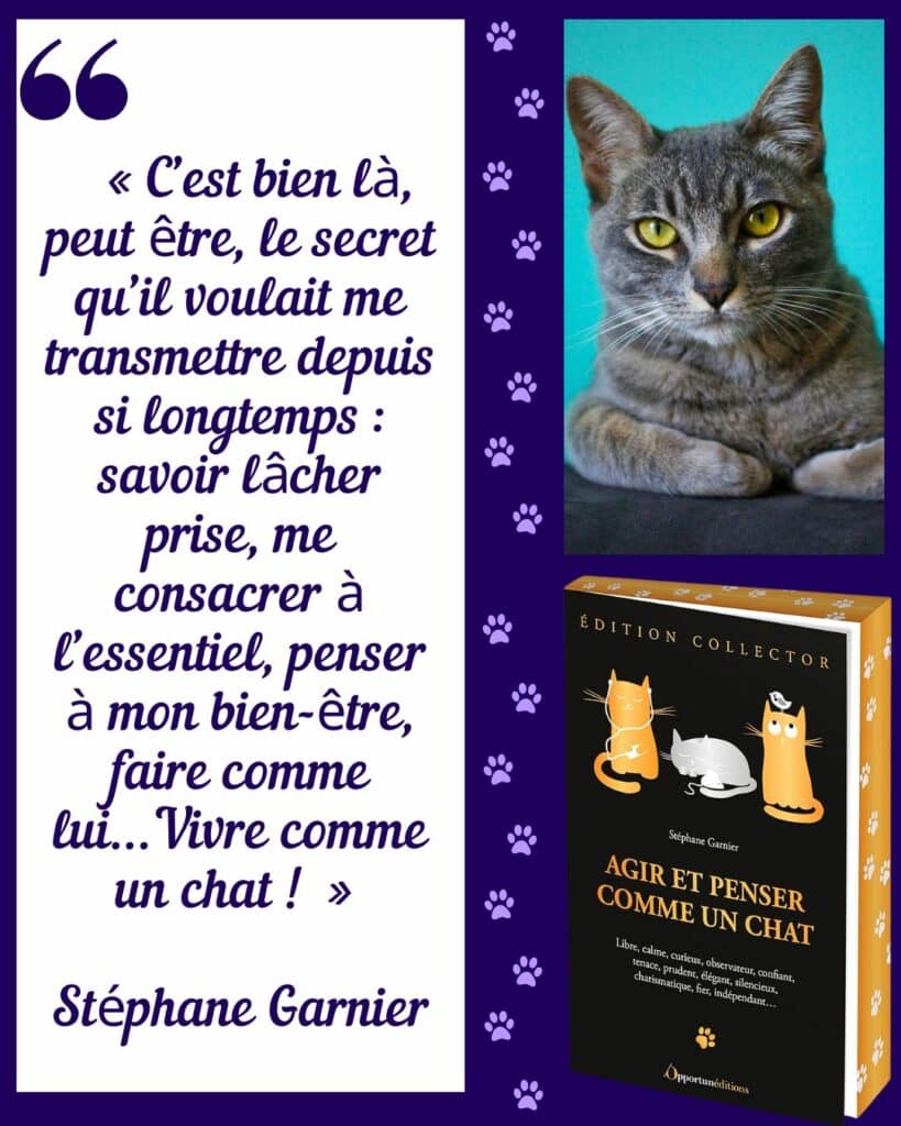 citation chats - stephane garnier