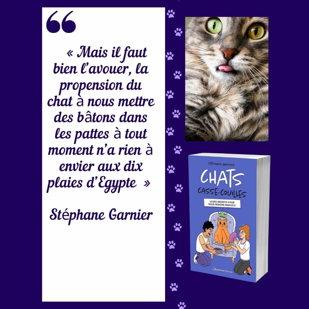 citation du livre Chats casse couilles de Stéphane Garnier